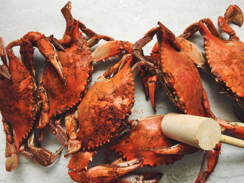 nature, crustacean, raw food, fish, still life, animals, close-up, 720P, animal, no people, healthy eating, crustaceans, food, claw, high angle view, crab