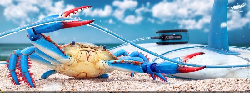 claw, crabs, close-up, crustaceans, animal wildlife, animals, no people, animal, marine, water, cloud - sky, fishing industry, crustacean, day, sea, blue