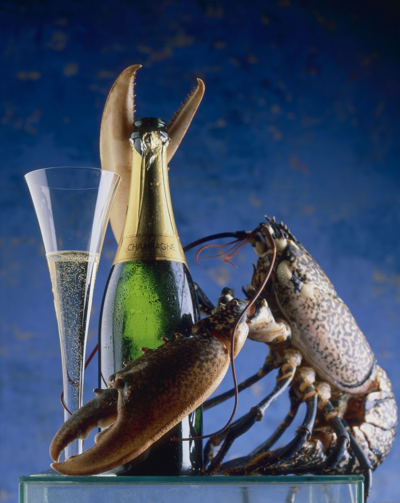 crustaceans, container, celebration, animals, sky, drinking glass, lobsters, blue background, no people, green, water, drink, nature, refreshment, cocktail