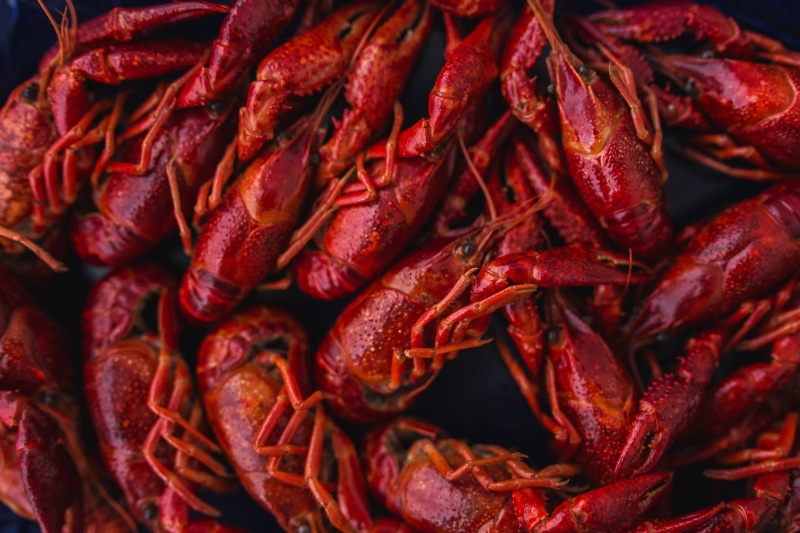 dried food, chili pepper, Crayfish, indoors, healthy Eating, delicious, crustacean, plate, spice, gourmet, red chili pepper, abundance, market, tasty, organic