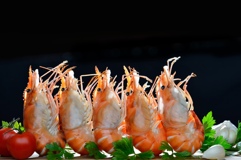 crustacean, seafood, shrimp, 5K