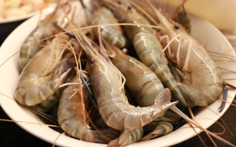 shrimps, raw, seafood backgrounds, Download 3840x2400 shrimps, 4K