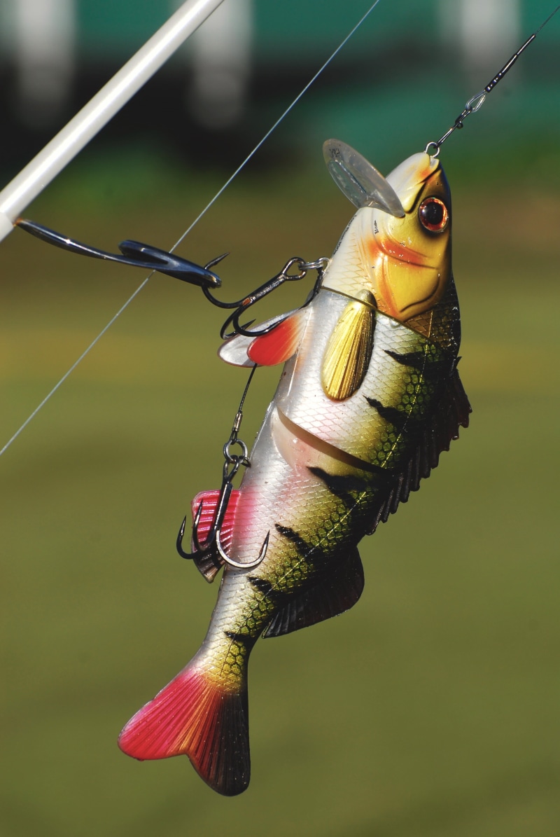 animal representation, tackle, animal, hook, photo, fishing, focus on foreground, creativity, animal themes, fisherman, 4K, art and craft, animals in the wild