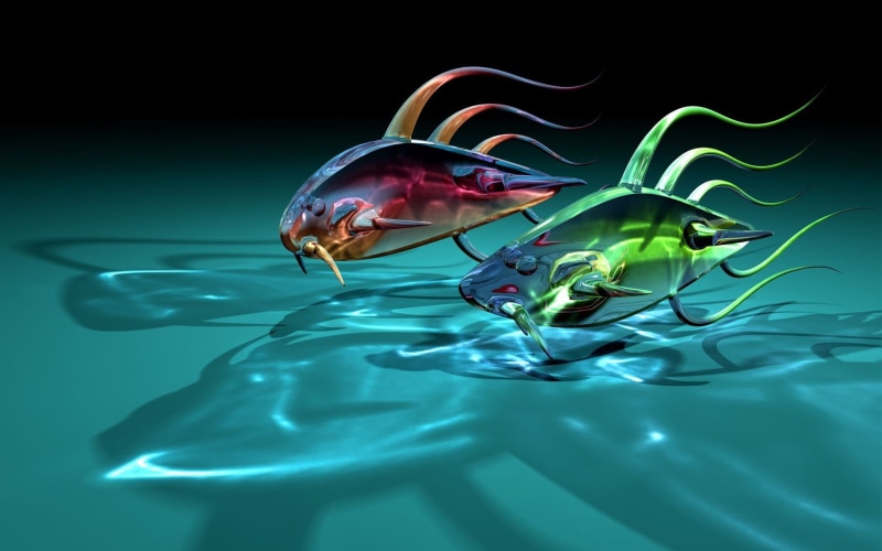 red, animals in the wild, freshness, green, transparent, fish, sea Life, glass - material, wildlife, swimming Animal, one animal, studio shot, indoors