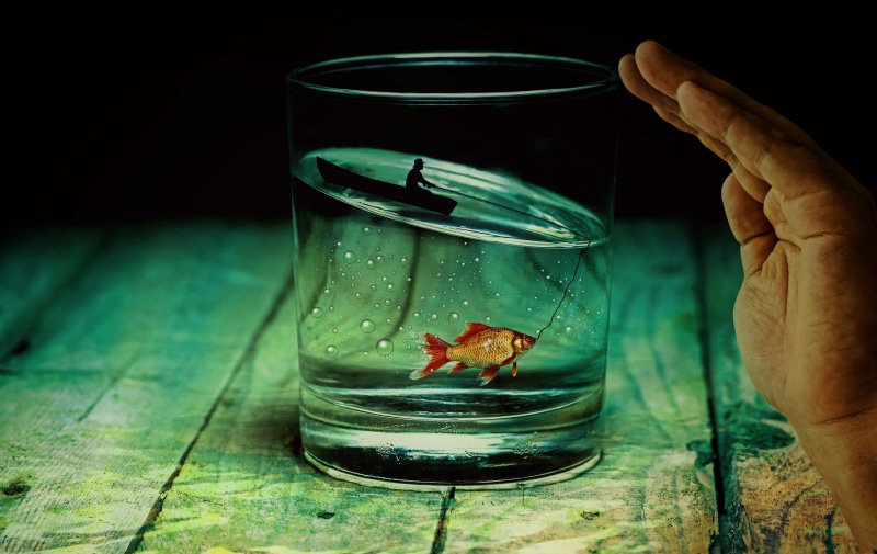 hand, vertebrate, dream, abut, fishbowl, one animal, angle, nature, swimming, clear, photo montage, dream world, glass, transparent, giant, angler, kick-off