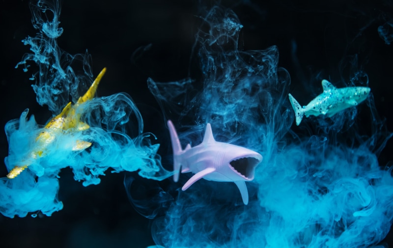 jaw, water, contrast, smoke, three, movement, artistic, deep, toy, background, decoration, smoke - physical structure, studio shot, figure, dark, design
