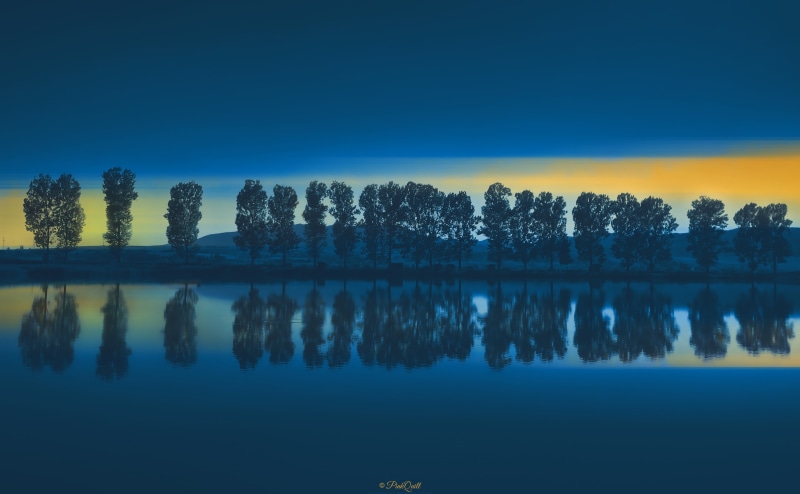 tree, symmetry, sunset, standing water, no people, waterfront, tranquil scene, evening, tranquility, outdoors, reflection lake, leafed, Lakes, water, lake