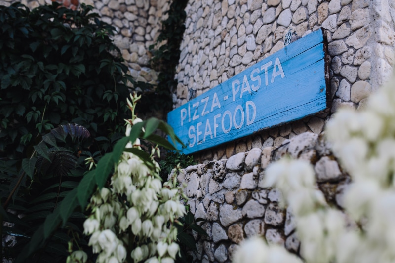information, communication, food, guidance, wall - building feature, flowering plant, flower, meal, information sign, plant, growth, message, western script
