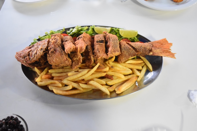 prepared potato, food and drink, delicious, close-up, no people, ready-to-eat, battered, crockery, indulgence, food, high angle view, fries, served, french