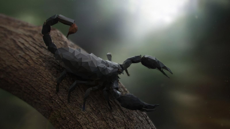 animals in the wild, men, branch, black, animal wildlife, animals, low poly, scorpions, day, holding, real people, 720P, digital art, depth of field, tree trunk