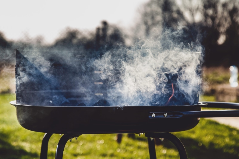 plant, barbeque, food, preparing food, Grill, lifestyles, BBQ, steam, meat, nature, food and drink, food/Drink, preparation, barbecue, grilled, smoke, smoke - Physical Structure