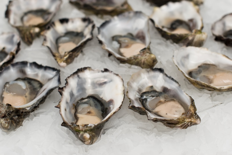 raw food, oyster, agriculture, meal, sweet, 5K, shell, animal wildlife, fishing industry, high angle view, restaurant, market, fish, ice, healthy eating