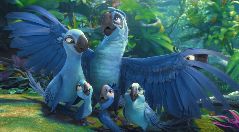 vertebrate, underwater, green color, day, blu, group of animals, nature, animals in captivity, Amazon, cockatoo, s, 2K, Cartoons, animal wildlife, 2014