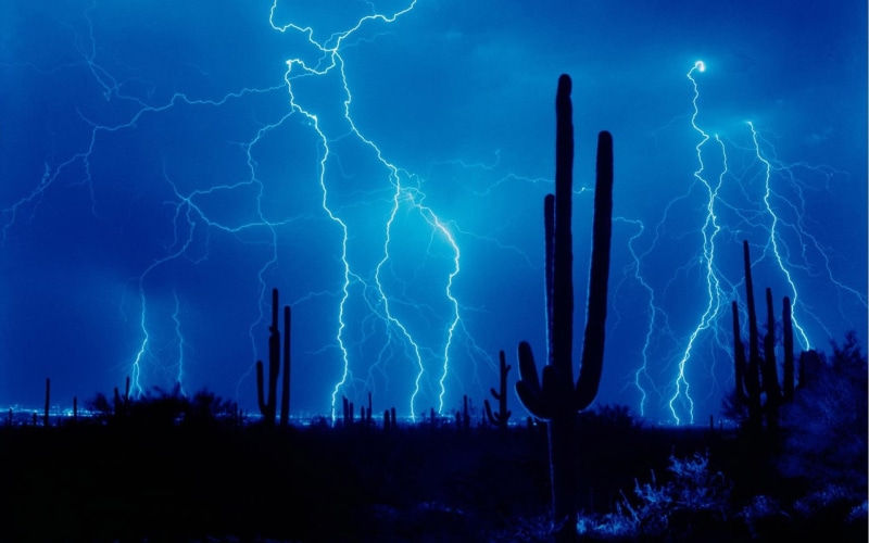 incredible, cactus, storm, 3d and abstract, blu, 1080P, green, light