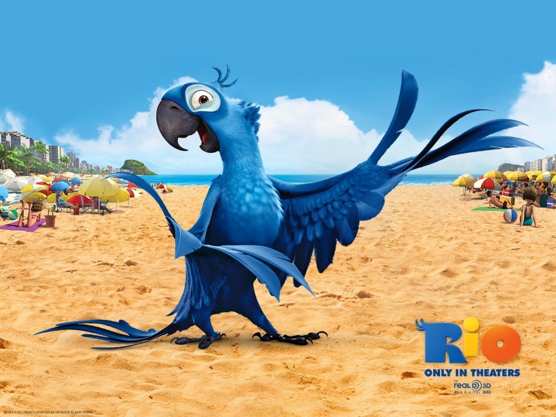 blu, 720P, rio