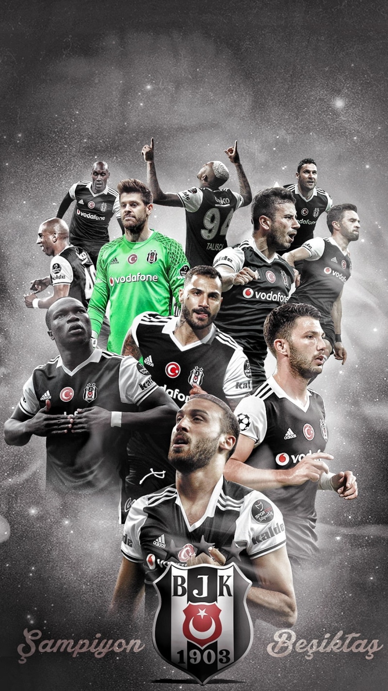 emotion, group of people, human body part, Turkish, mid adult, adult, young adult, team sport, success, males, soccer, celebration, sport, positive emotion