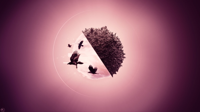one animal, artwork, purple, animal, colored background, tree, manipulation, butterfly - insect, 3D, birds, pink background, nature, animal themes, pink color