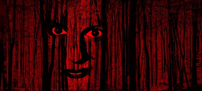 isolated, optical, textured, indoors, human, stage, live, nightlife, face, shadow, bone, eyes, death, skull, horror, trees, digital, pine, medical