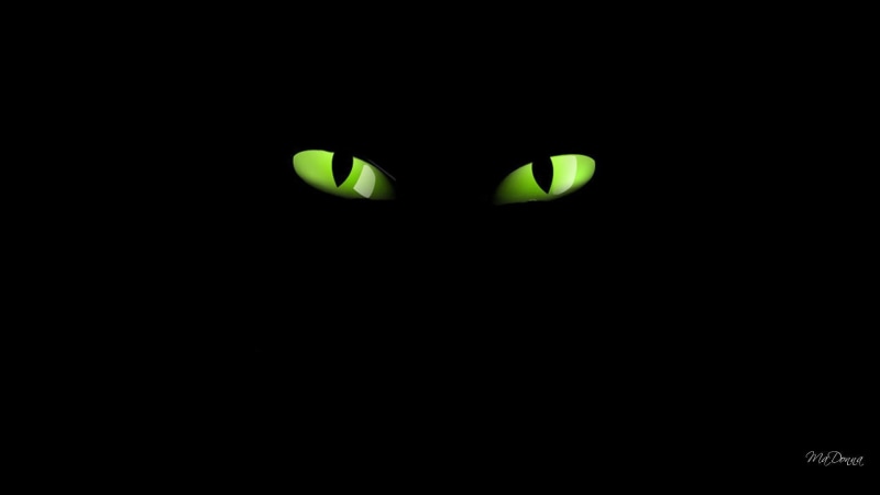halloween, scary, green eyes, cat eyes, 1080P, simple, black, 3d and abstract, seeing, watching, creepy