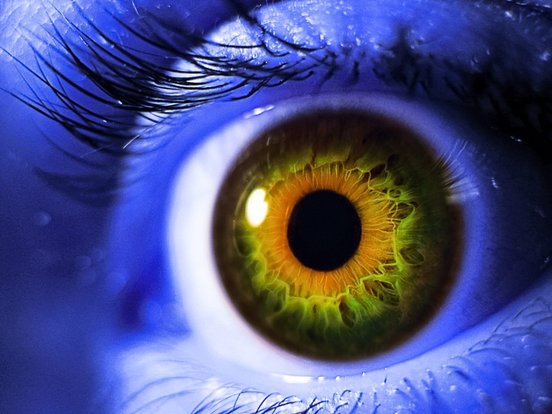 lookout, yellow, sensory perception, search, extreme close-up, blue, looking, unrecognizable person, front view, pupil, human, outlook, vision, overview