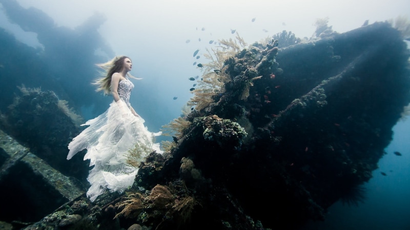 long hair, water, 1080P, looking, women outdoors, young women, sea, animals in the wild, one person, underwater, animal wildlife, women, fish, gown, coral