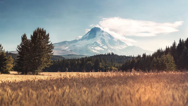 scenics - nature, day, snowcapped mountain, landscape, 1080P, Mount Hood, non-urban scene, plant, tranquil scene, white, cloud - sky, trees, field, mountain