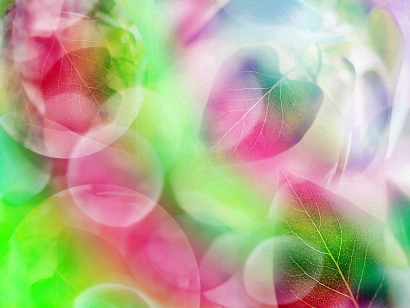 720P, bubble, abstract, colorful, leaves, rainbow