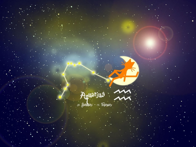 zodiac, pets, aquarius, for windows, animals, zodiac sign, cat, sign, 1080P, kittycat, cats