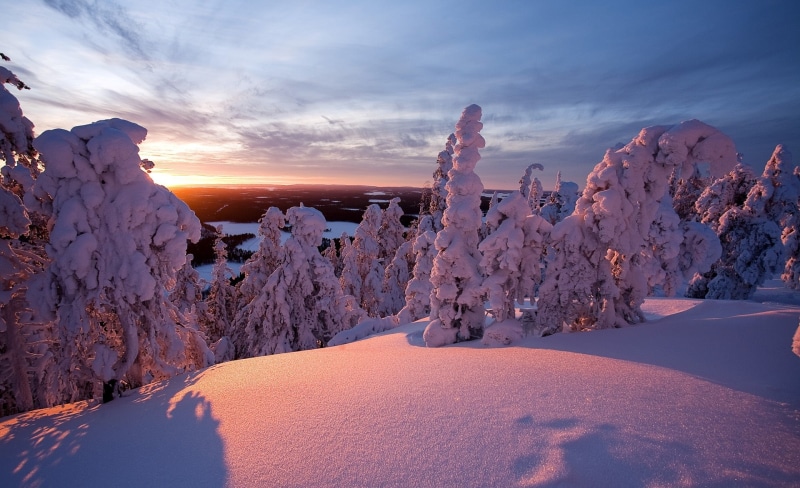 pine tree, snow, Finland, cold temperature, lapland, Landscape, sun, no people, Winter, tranquility, beauty in nature, cloud - sky, Travel, land, environment