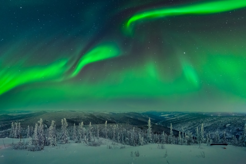 aurorae, star - space, snow, green color, illuminated, power in nature, luminosity, night, trees, majestic, nature, winter, landscape, sky, scenics - nature