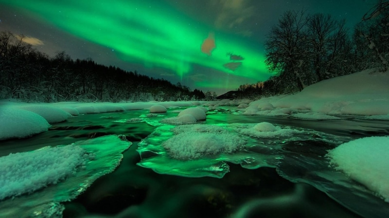 nature, Norway, tranquility, tranquil scene, sky, frozen, beauty in nature, winter, scenics - nature, no people, aurorae, green color, plant, aurora polaris