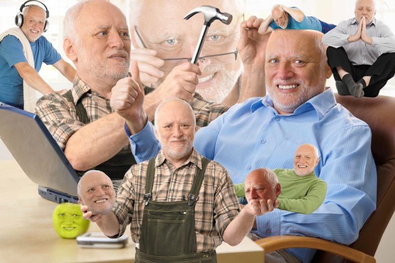 Humor, Meme, 1080P, Hide The Pain Harold