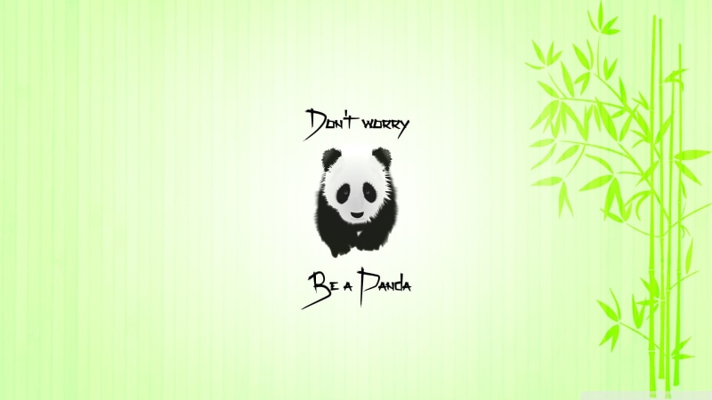 bamboo, quote, 1080P, animals, panda