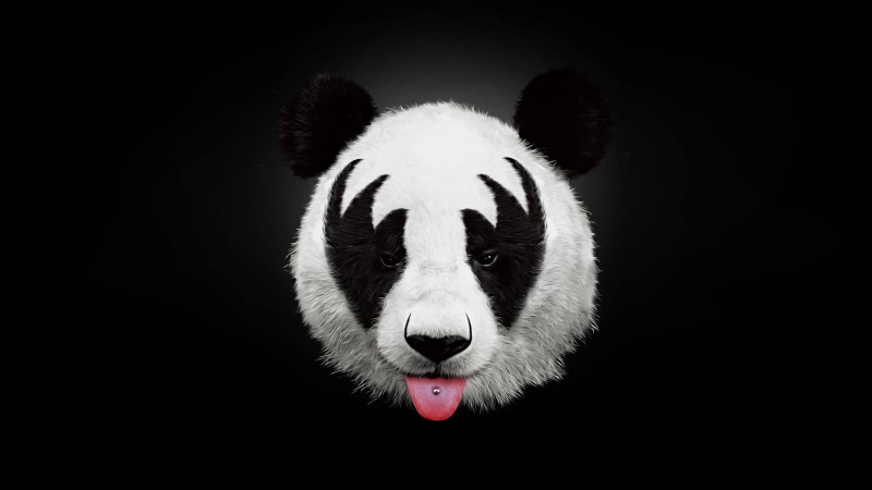 close-up, digital art, hd, animal wildlife, panda - animal, black background, portrait, animals in the wild, animal, animal head, 4K, giant panda, animal body part