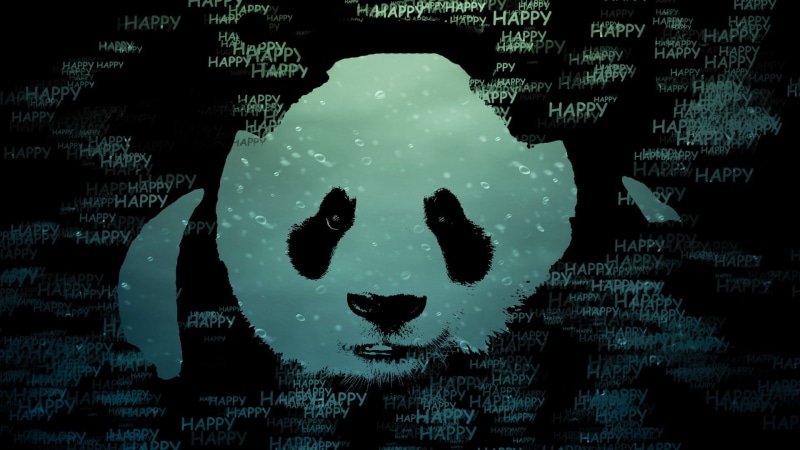 panda, 1080P, happy