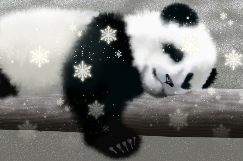 pandas, bears, panda, baer, 2K, cute, baby