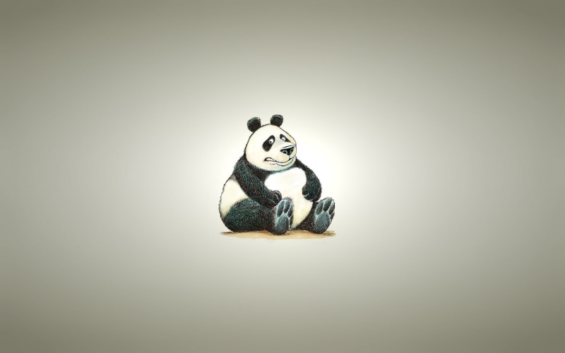 panda bear, beautiful, cool, panda, fat, 1080P, funny, bear