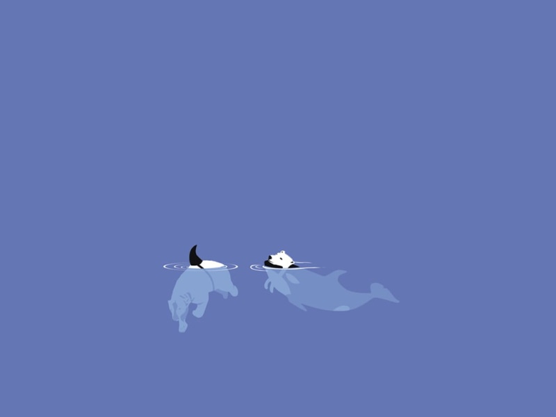 art, travel, nature, vertebrate, airplane, minimalism, mid-air, air vehicle, flying, 480P, panda, animals in the wild, humor, animal wildlife, blue, sky