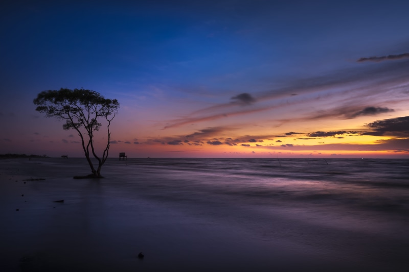 no people, tranquility, plant, dawn, purple, water, cloudscape, horizon over water, scenic, travel, sunset, cloud - sky, sea, dusk, photography, seascape