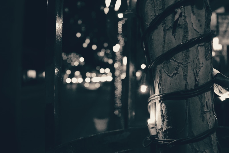 monochrome, urban photo, light - natural phenomenon, street, plant, light bulb, glowing, selective focus, tree, no people, focus on foreground, illuminated