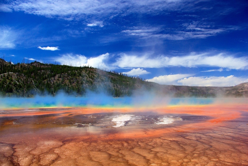 spectrum, vapor, tree, pool, nature, park, wyoming, physical geography, power in nature, vapors over grand prismatic spring, rainbow, scenics - nature
