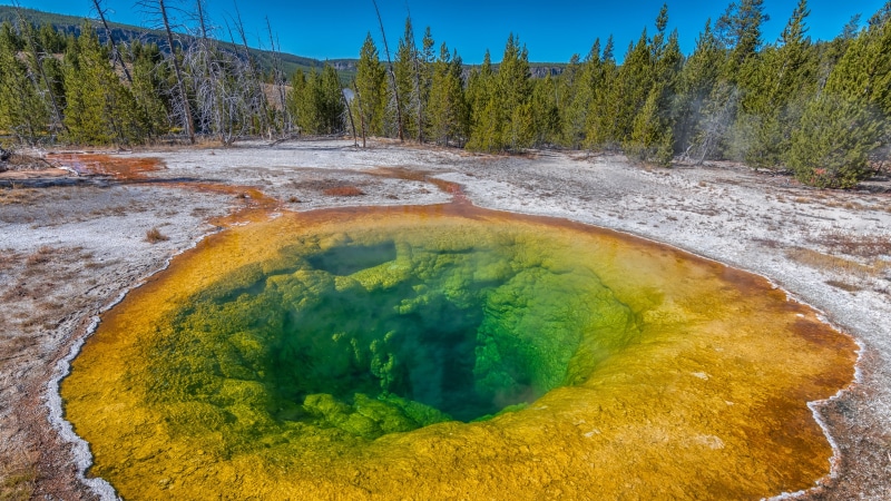 united states, morning glory pool, hot spring, geyser, yellowstone national park, yellowstone upper geyser basin, wyoming, national park, 4K, pool