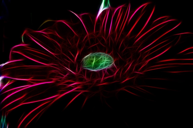 pattern, design, Nature, 2K, black background, exploding, art, green color, no people, red, illuminated, Digital, artwork, shape, daisy, studio shot, close-up