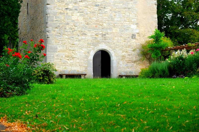flower, stone wall, day, grass, input, building, door, plant, bricks, wall, goal, building exterior, old, growth, medieval, history, stone, wood, view from the bottom