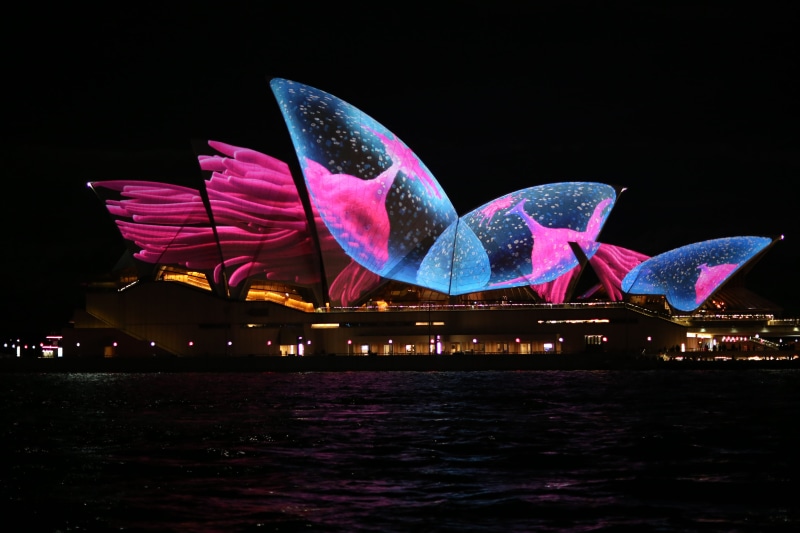 vivid, water, city, architecture, nightlife, illuminated, motion, opera, 5K, sky, dark, travel destinations, circular quay, house, waterfront, creativity