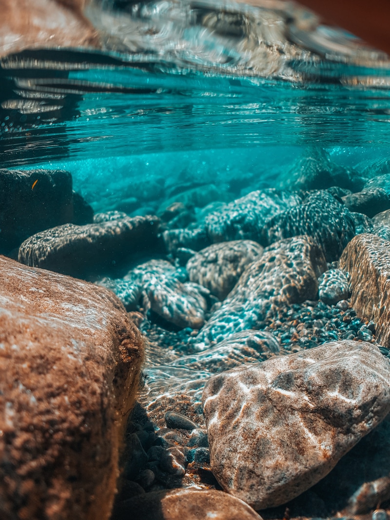 coral reef, ocean, underwater, stones, outdoors, brown, animal, aquatic, hd, rock - object, backgrounds, marine, 4K, purity, animal wildlife