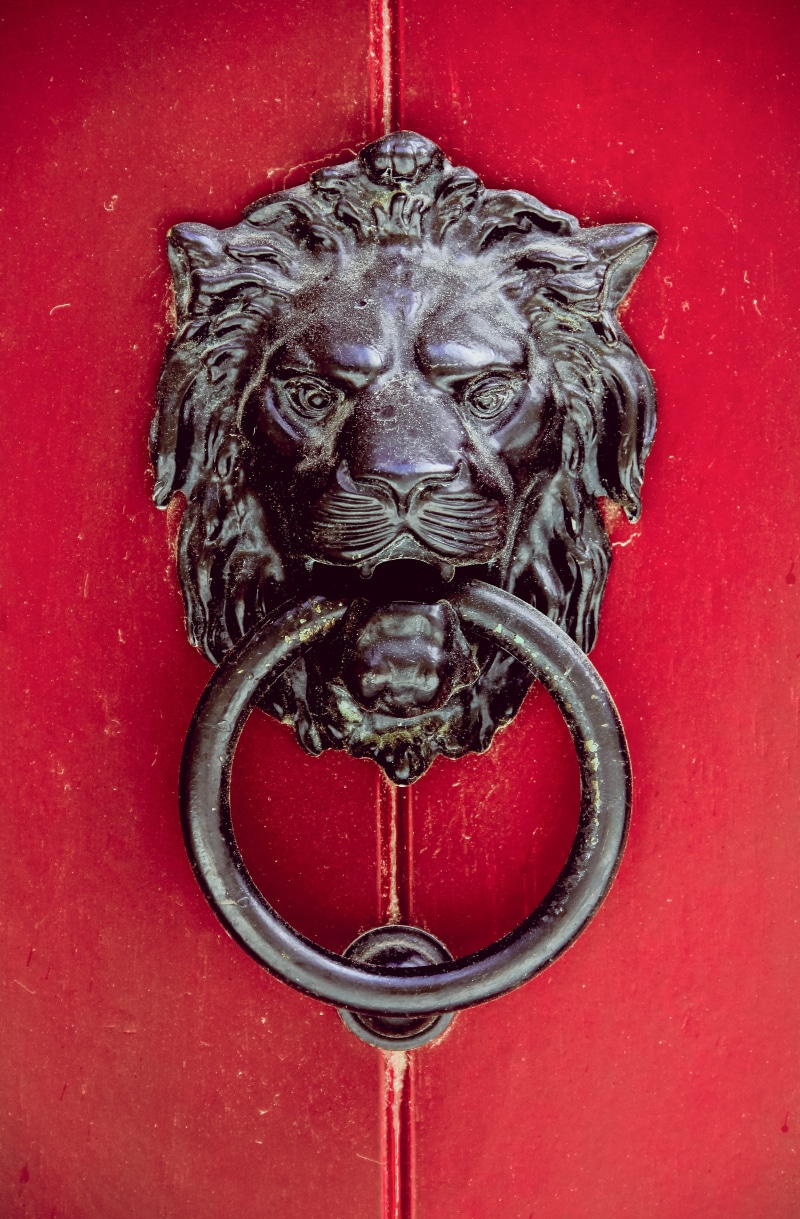emblem, old, mammal, knocker, lion - feline, 4K, lion, animal themes, art and craft, close-up, ornate, craft, animal head, door, symbol, red, animal, wildlife