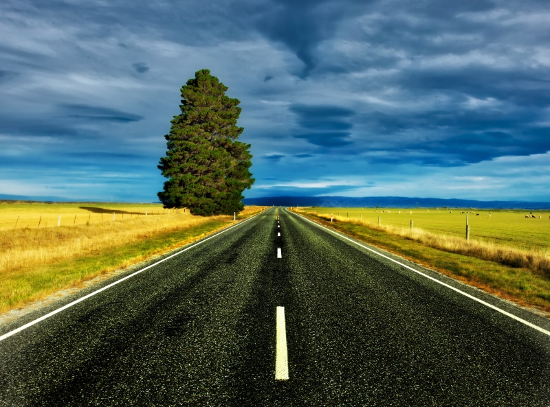 no People, com, 8K, Yellow, Grass, Hill, leaf, tree, colour, Lake  Mirror, highway, Horizontal, Central Otago, South Island, RR, Black  Grey, Day, plant
