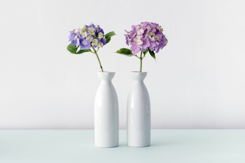 hydrangeas, pink, studio shot, flower arrangement, freshness, flower, two, pink Color, flower head, nature, flowers, bunch of flowers, decor, flowering plant
