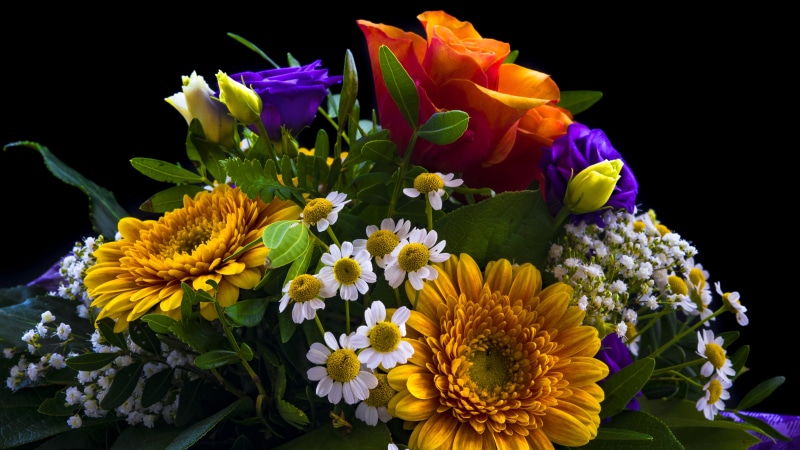 bouquet of roses, 5K, variety, bouquet, bouquet of flowers, vulnerability, flowers, pollen, flowering plant, marry, flower arrangement, flower bouquet